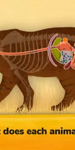 The Animals app screenshot 29