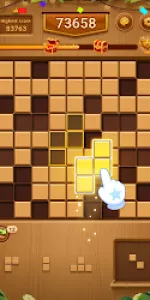 Wood Block Puzzle app screenshot 8