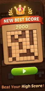 Wood Block Puzzle 3D app screenshot 12