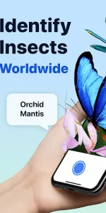 Picture Insect app screenshot 1