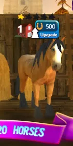 Horse Paradise app screenshot 7