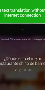 Microsoft Translator app screenshot 11