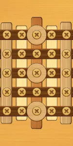 Screw Puzzle app screenshot 12