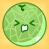 Melon Maker  app icon