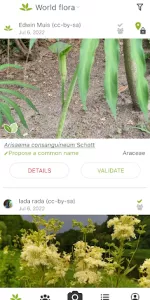 PlantNet Plant Identification app screenshot 4