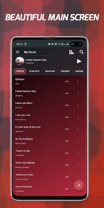 Pi Music Player app screenshot 2