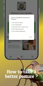AI Insect & Bug Identifier App app screenshot 15