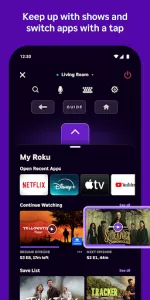 The Roku App  app screenshot 4