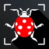 Insect Identifier Bug Identify app icon