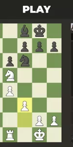 Chess  app screenshot 18