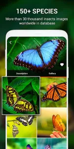 Insect identifier by Photo Cam app screenshot 16