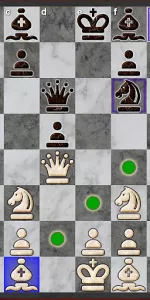 Chess app screenshot 12