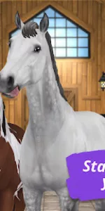 Star Stable Online app screenshot 24