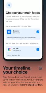 Bluesky app screenshot 3