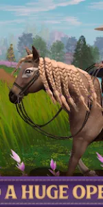 Star Equestrian  app screenshot 32