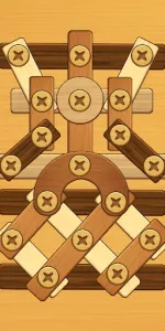 Screw Puzzle app screenshot 21