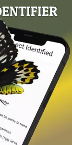 AI Insect & Bug Identifier App app screenshot 2