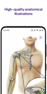 Daily Anatomy Flashcards app screenshot 5