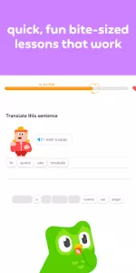 Duolingo app screenshot 11