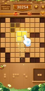 Wood Block Puzzle app screenshot 11