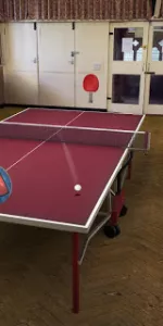 Table Tennis Touch app screenshot 9