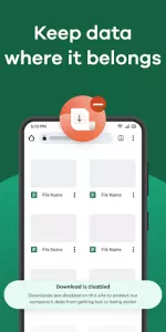 Island Enterprise Browser app screenshot 3