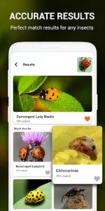 Insect identifier by Photo Cam app screenshot 23