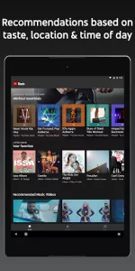 YouTube Music app screenshot 11