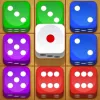 Dice Puzzle  app icon