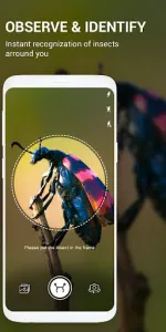 Insect identifier by Photo Cam app screenshot 17