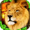 Safari Simulator app icon