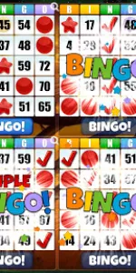 Absolute Bingo app screenshot 2