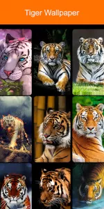 Tiger Wallpaper 2024 app screenshot 7