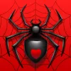 Spider Solitaire app icon