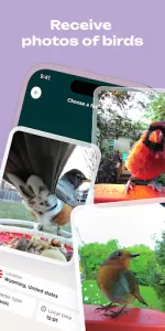 Bird Buddy app screenshot 8