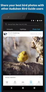 Audubon Bird Guide app screenshot 5