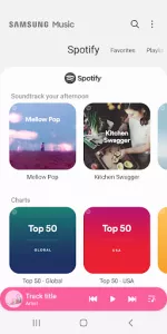 Samsung Music app screenshot 2