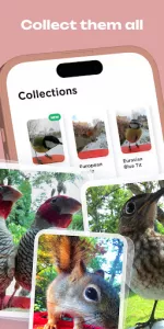 Bird Buddy app screenshot 10