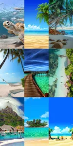 Beach Wallpapers HD app screenshot 13