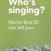 Merlin Bird ID by Cornell Lab - Top News App by Cornell Lab of Ornithology | 4.9 Stars