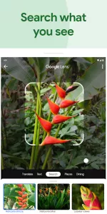 Google Photos app screenshot 10