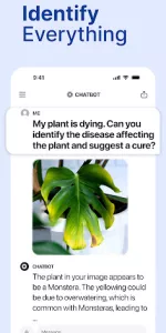 Chatbot  app screenshot 22