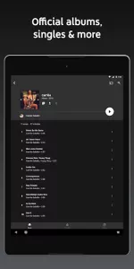 YouTube Music app screenshot 10