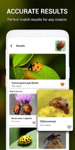 Insect identifier by Photo Cam app screenshot 13