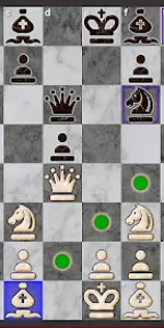 Chess app screenshot 20