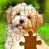 Jigsaw Puzzles app icon