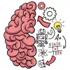 Brain Test app icon