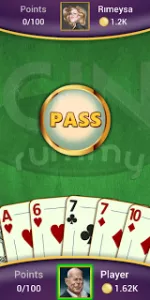 Gin Rummy  app screenshot 20