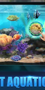 Top Fish app screenshot 16