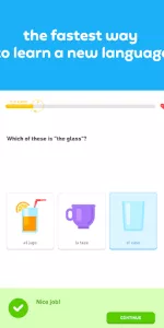 Duolingo app screenshot 10